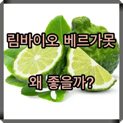 림바이오 베르가못 썸네일