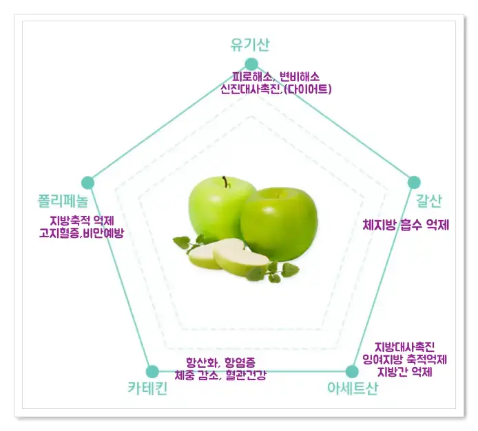 사과초모식초 성분효능