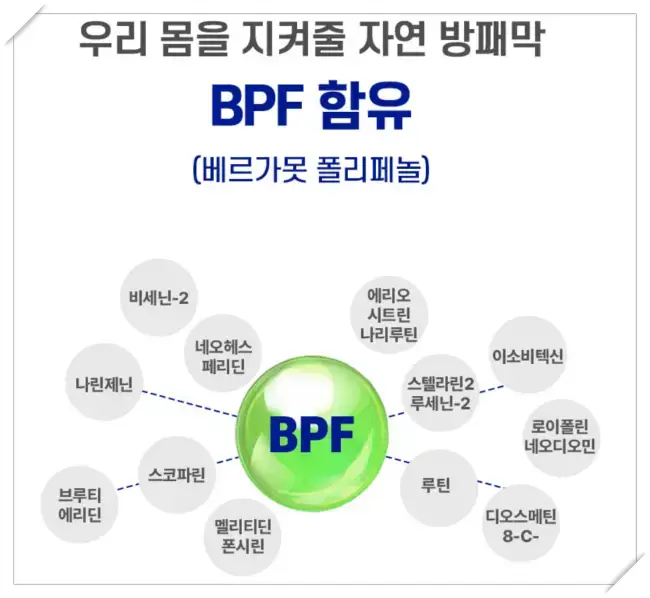 유로바디정 성분 BSF