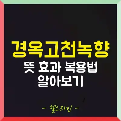 경옥고천녹향 썸네일