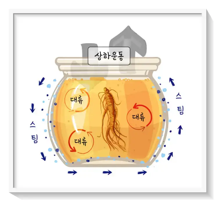 천담지삼 홍삼정과