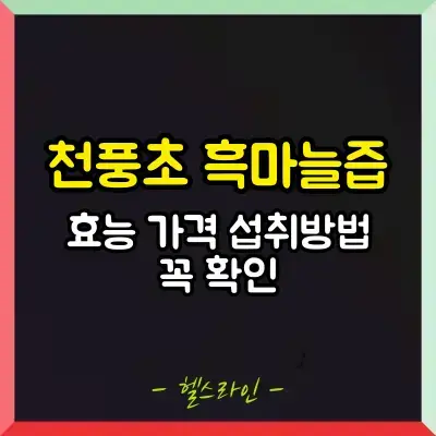 천풍초 흑마늘즙 썸네일