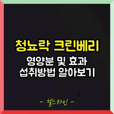 청뇨락 크린베리 썸네일