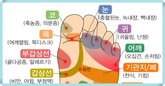 피트컷 써큐핏 지압 효과