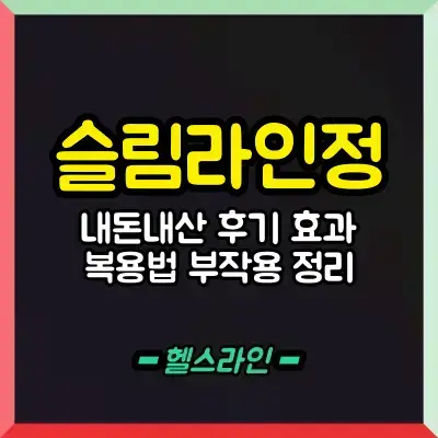 슬림라인정 내돈내산 후기 효과 복용법 부작용 정리