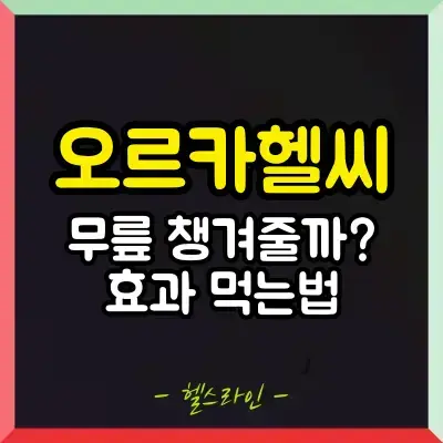 오르카헬씨 썸네일