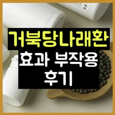 거북당 나래환