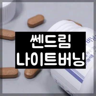 쎈드림나이트버닝