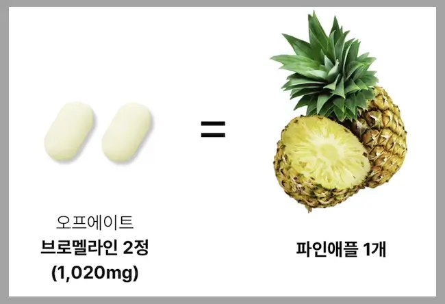 오프에이트 브로멜라인 하루섭취량