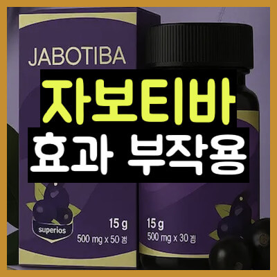 자보티바 썸네일