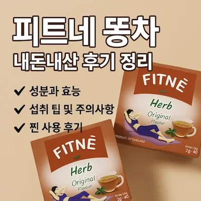 피트네 똥차