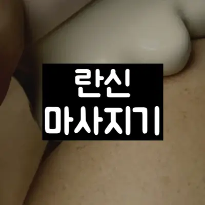 란신 마사지기