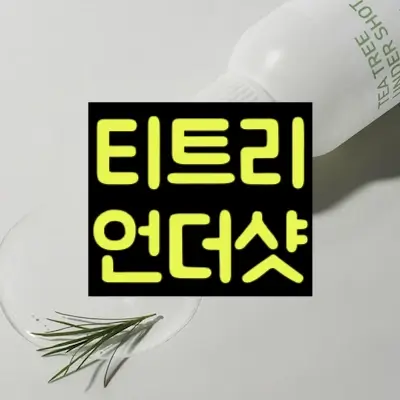 티트리 언더샷 썸네일
