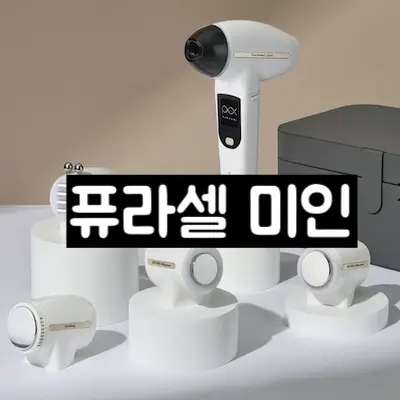 퓨라셀 미인