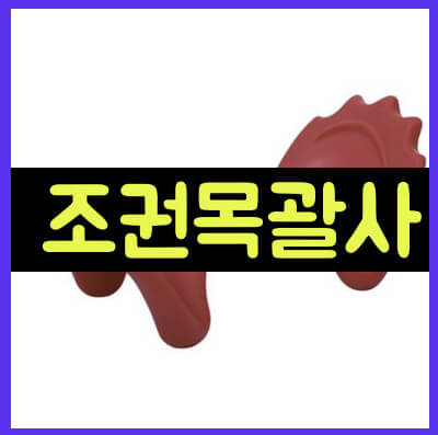 조권목괄사 썸네일1