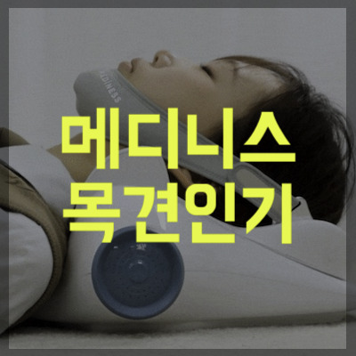 메디니스 목견인기