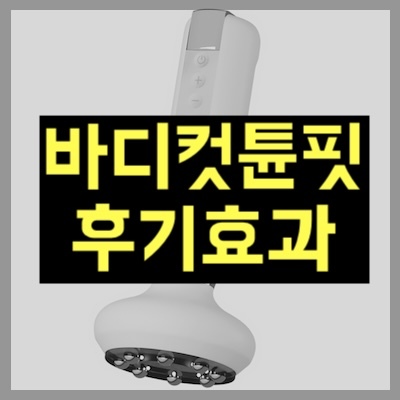 바디컷튠핏