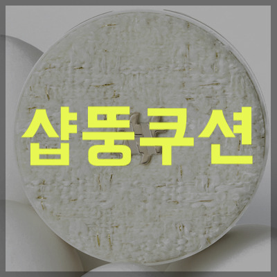 샵뚱쿠션