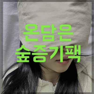 온담은 숲증기팩