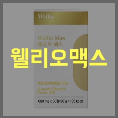 웰리오맥스