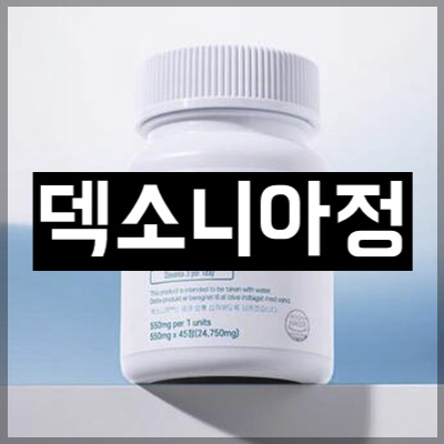 덱소니아정
