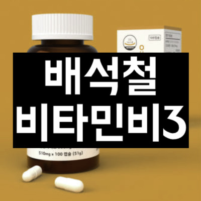 배석철비타민비3