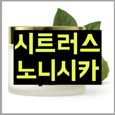 시트러스 노니시카