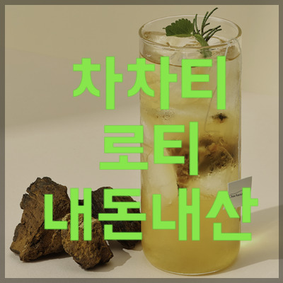 차차나로티 내돈내산