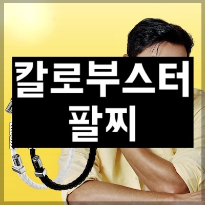 칼로부스터팔찌
