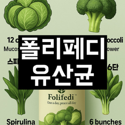 폴리페디 유산균