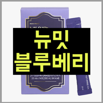 뉴밋블루베리