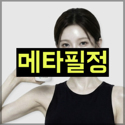 메타필정