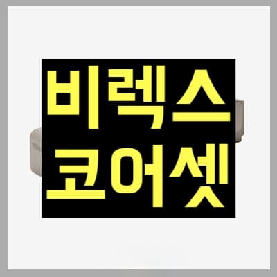 비렉스 코어셋