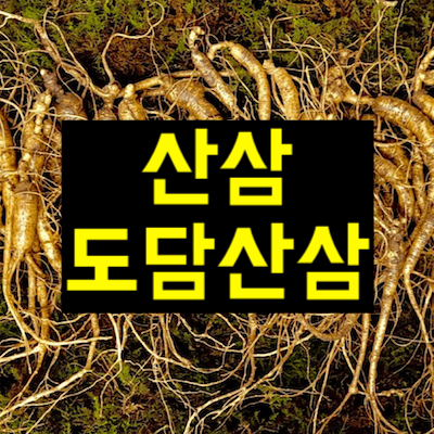 산삼도담산삼