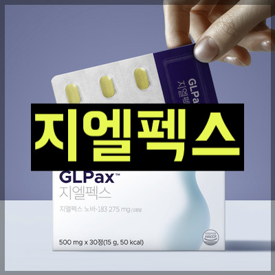 지엘펙스