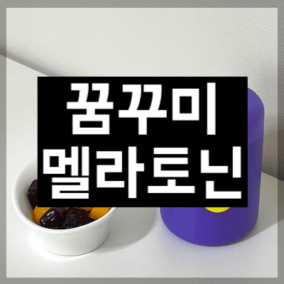 꿈꾸미 멜라토닌
