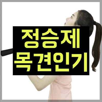 정승제 목 견인기