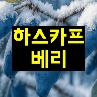 하스카프베리