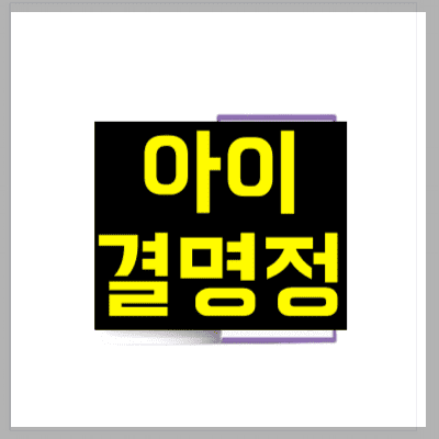 아이결명정