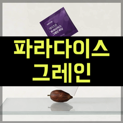 파라다이스 그레인