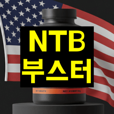 NTB 부스터