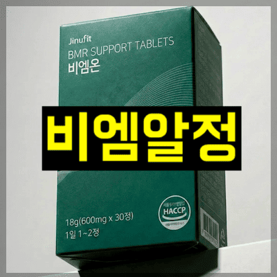 비엠알정