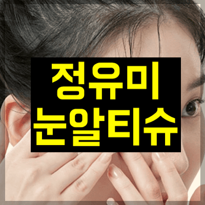 정유미 눈알티슈