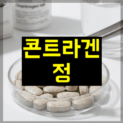 콘트라겐정