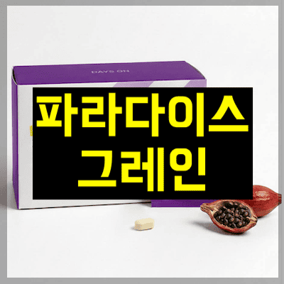 파라다이스 그레인