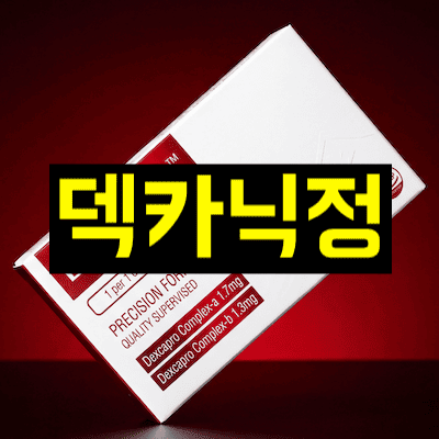 덱카닉정