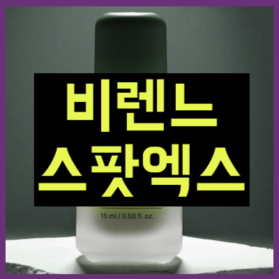 비렌느 스팟엑스