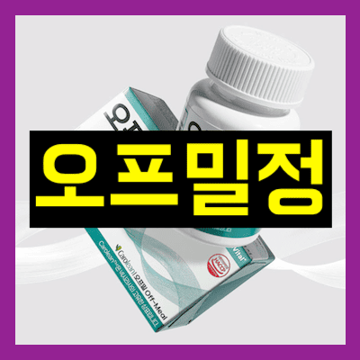 오프밀정