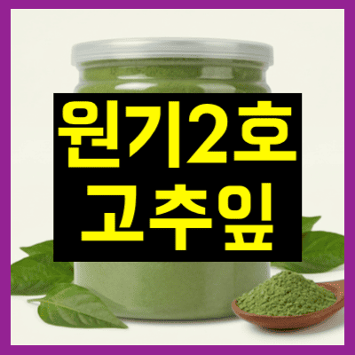 원기2호 고추잎