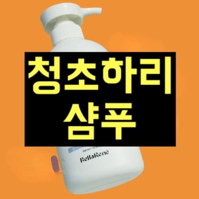 청초하리샴푸